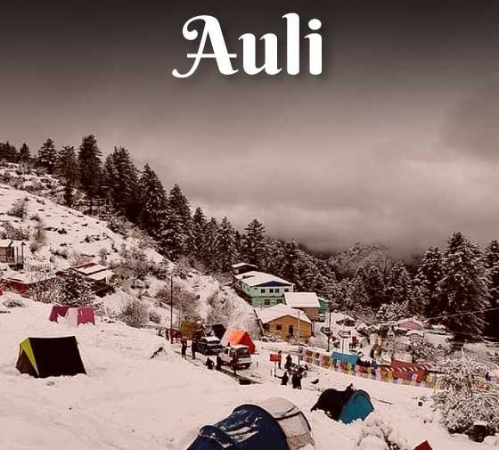 Auli