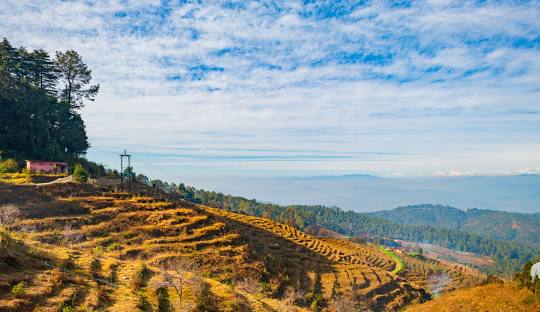 Ranikhet